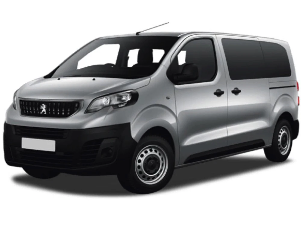Peugeot Expert 3 KO hinged rear doors