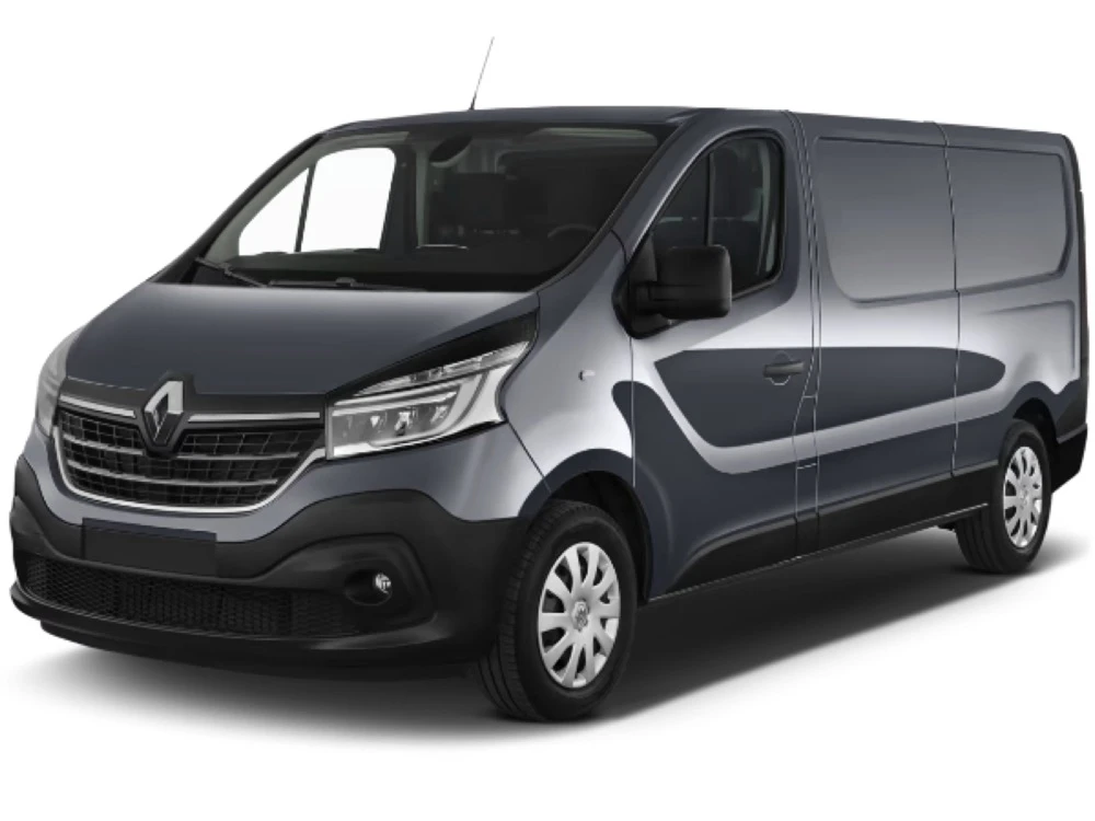 Renault Trafic EG | FG | JG van | hinged rear doors