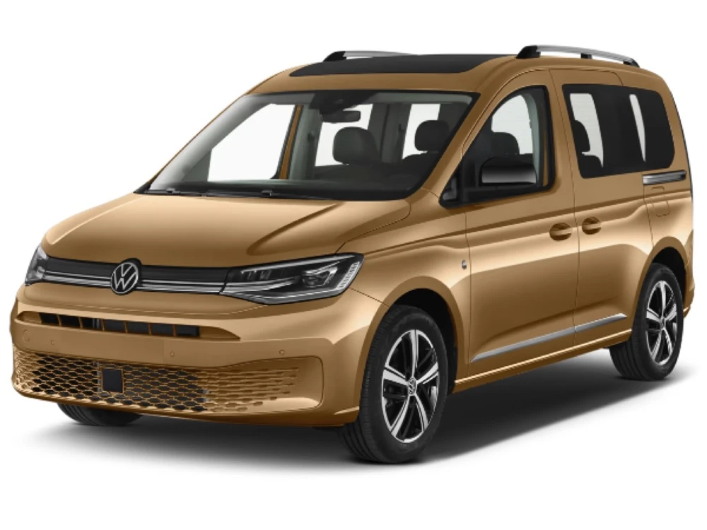 Volkswagen Caddy 4 SB hinged rear doors