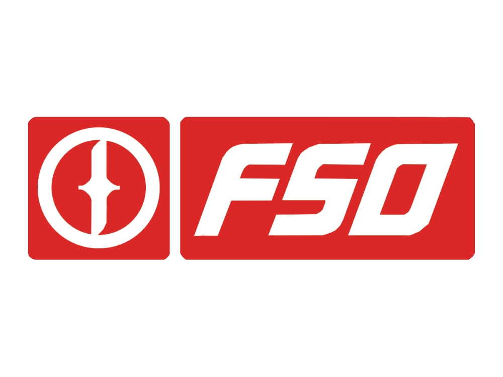 Двірники FSO