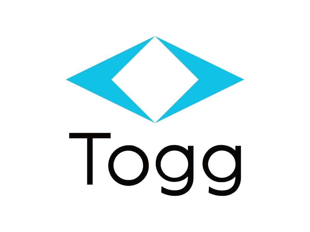 Двірники TOGG